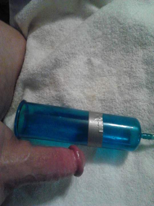 Adult image from fish4free