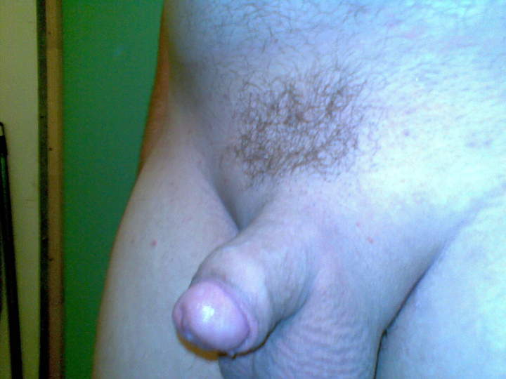 Adult image from 450