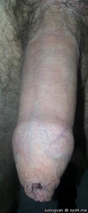 Adult image from ludvigvan