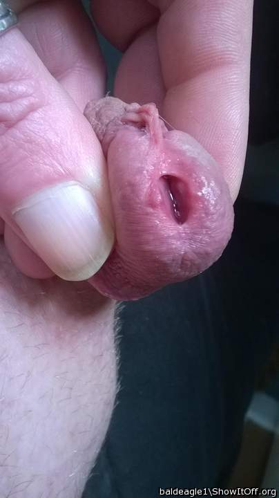 Nice picture. Love the view looking into a juicy pee hole.
