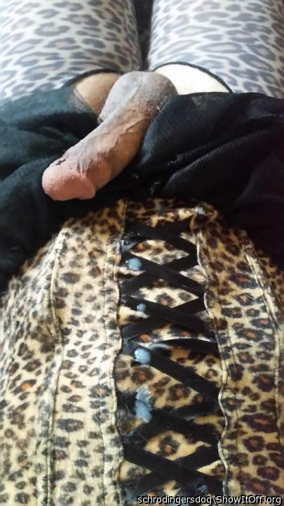 Adult image from schrodingersdog