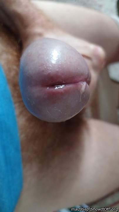 Adult image from mau35sp