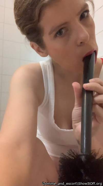 Toilet brush suck