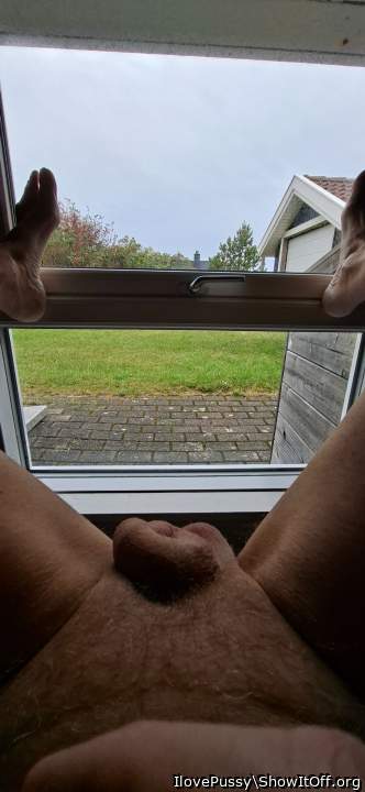 Adult image from IlovePussy