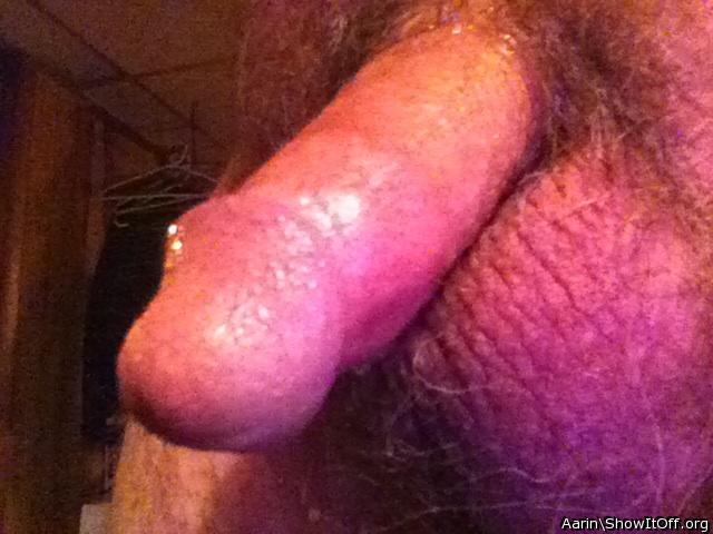 Adult image from Arinn