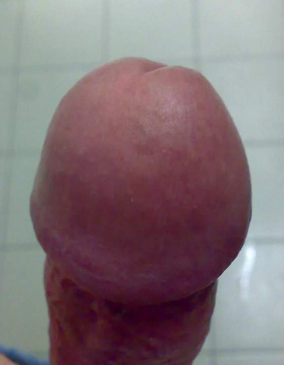 Adult image from roccotano