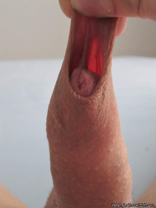 Adult image from peter_b
