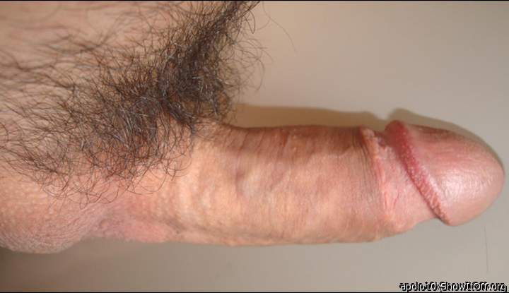 Adult image from apolo10