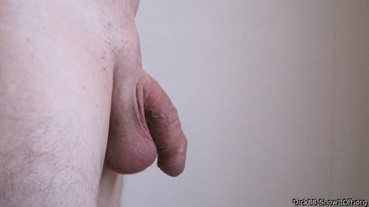  hot manhood  to worship  !!