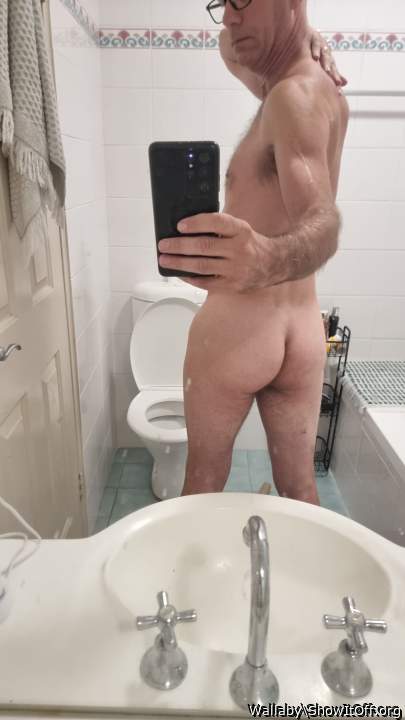 Adult image from Wallaby