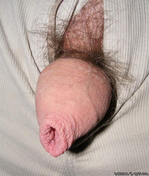 Adult image from balticsea
