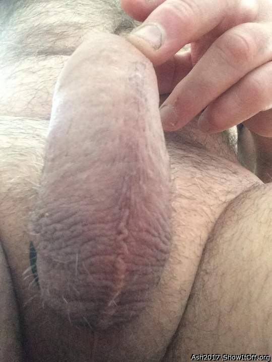 Adult image from Ash2017