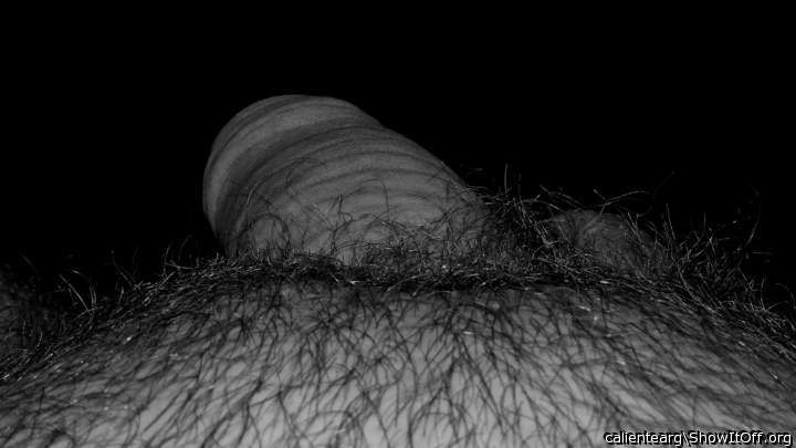 Adult image from calientearg