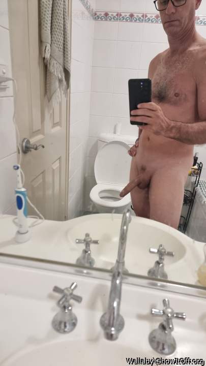 Adult image from Wallaby