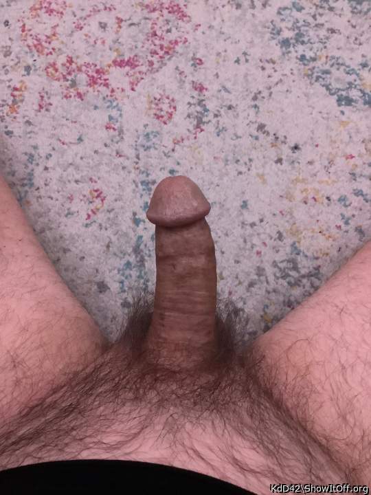 Carpeted cock