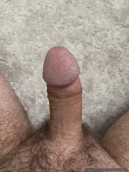 Adult image from freddie2112