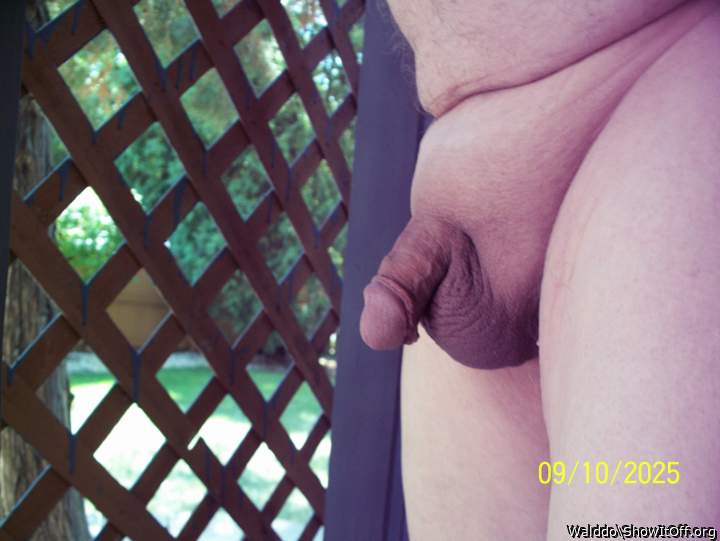 Adult image from Walddo