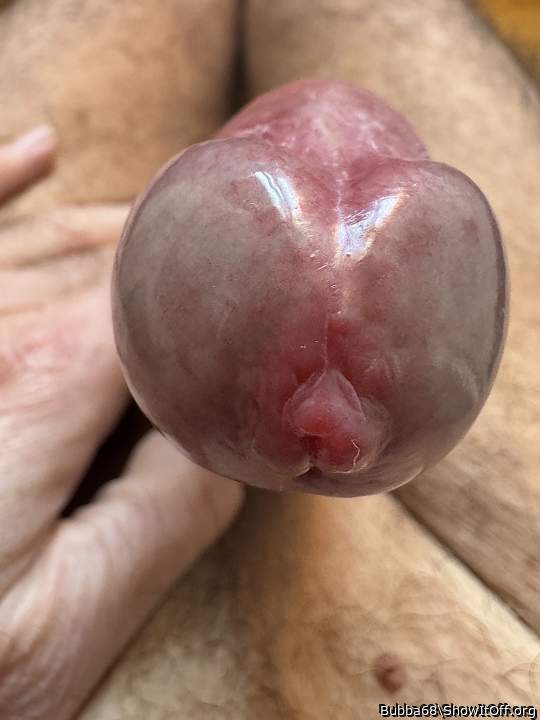 Adult image from Bubba68