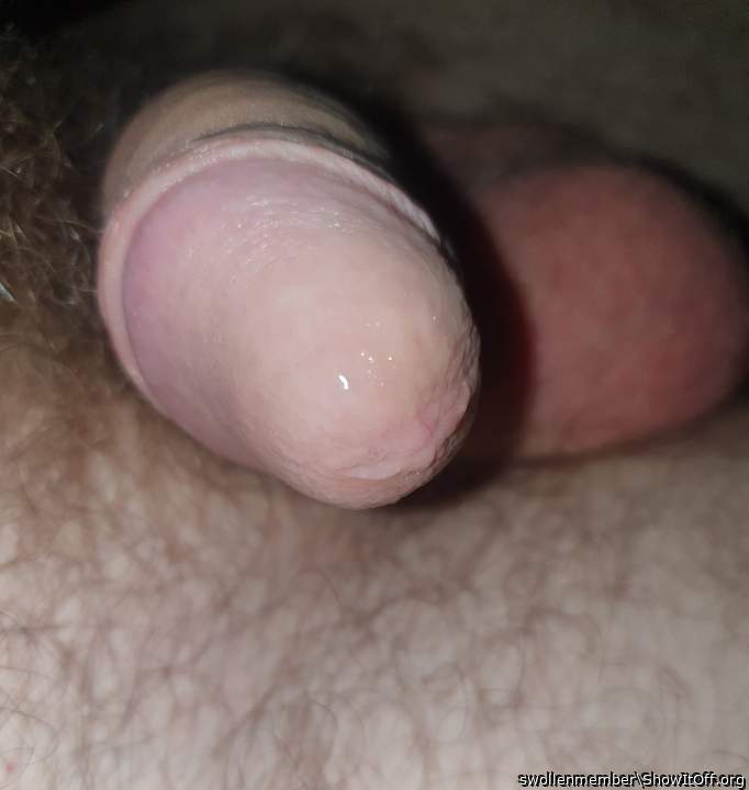 Adult image from swollenmember