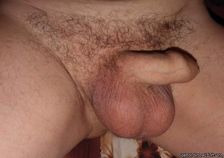 Adult image from gebol