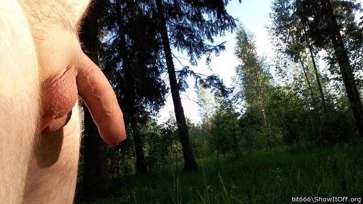 Adult image from tiit666