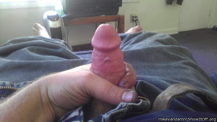 Adult image from mikevandamn