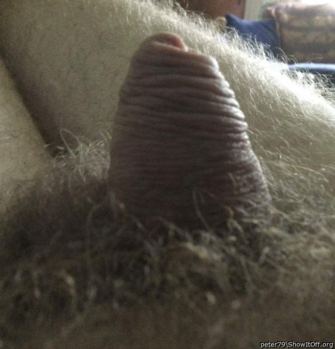 Adult image from peter79