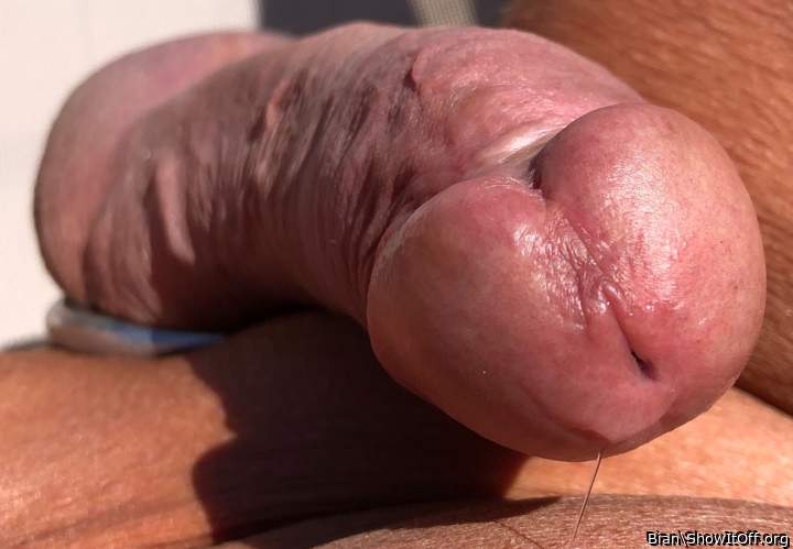 Adult image from Bian