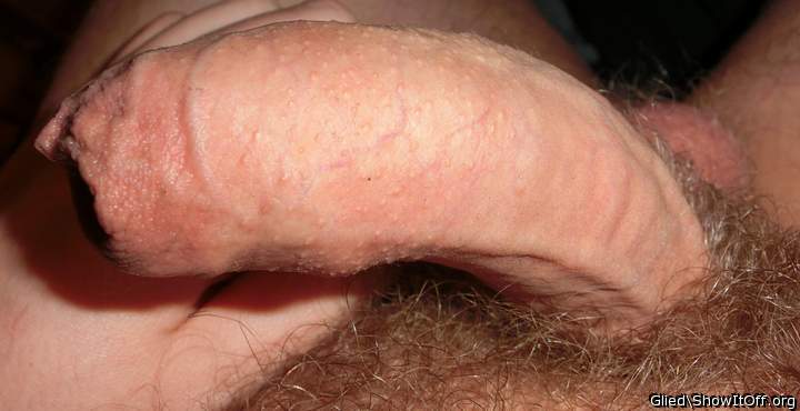 Adult image from Glied