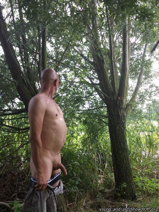 I�d love to meet your wood in the woods