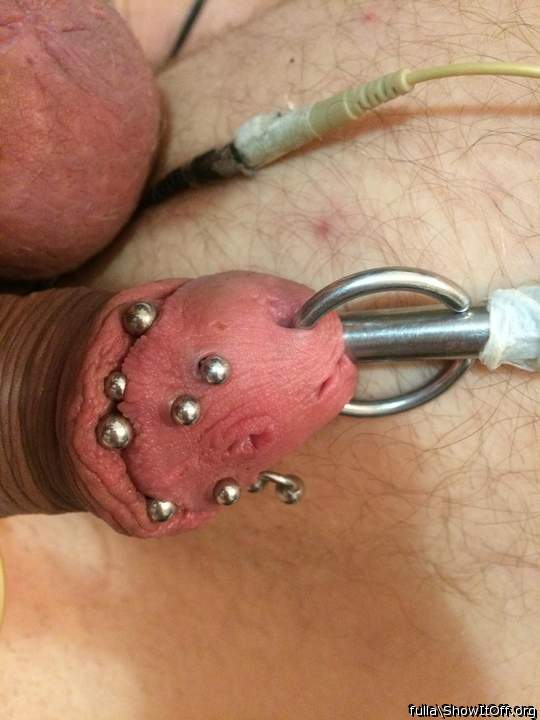 Adult image from fulla