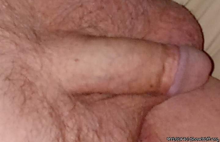 Adult image from MYDICK4U