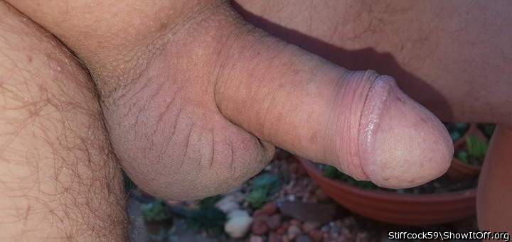 Adult image from Stiffcock59