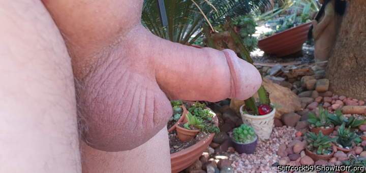 Adult image from Stiffcock59