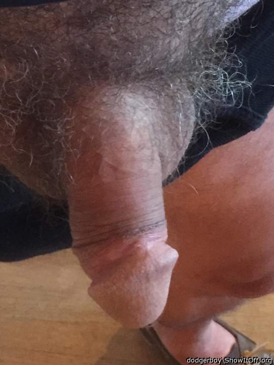 Adult image from dodgerboy