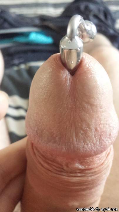 Adult image from xander69