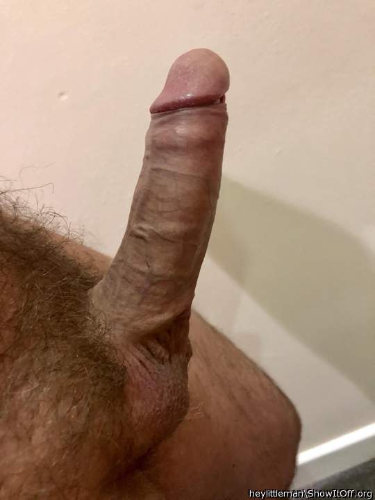 Adult image from heylittleman