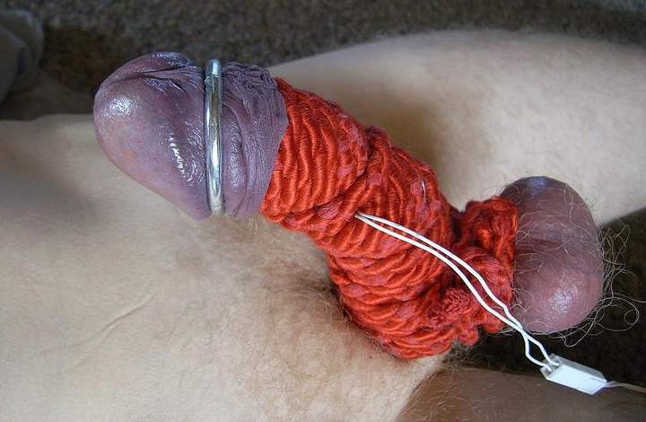 Adult image from greenbelt