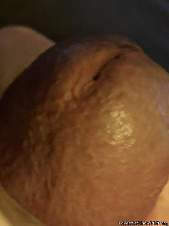 Adult image from Lovespie