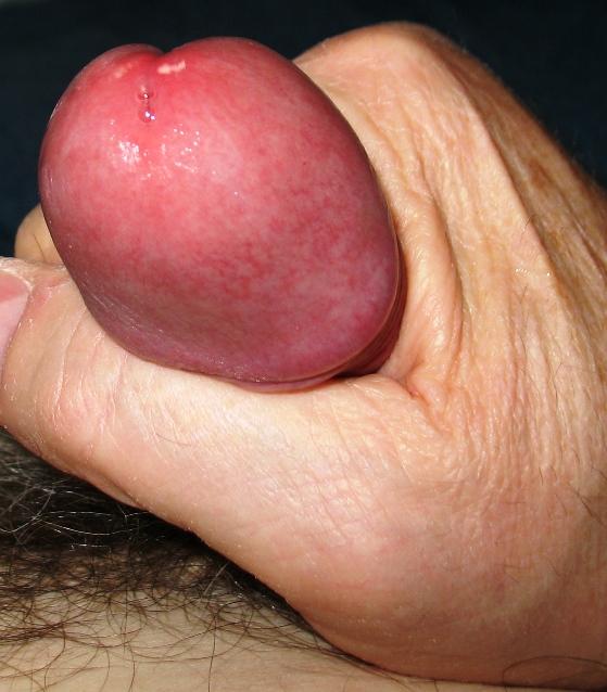 Squeeze Life Into It