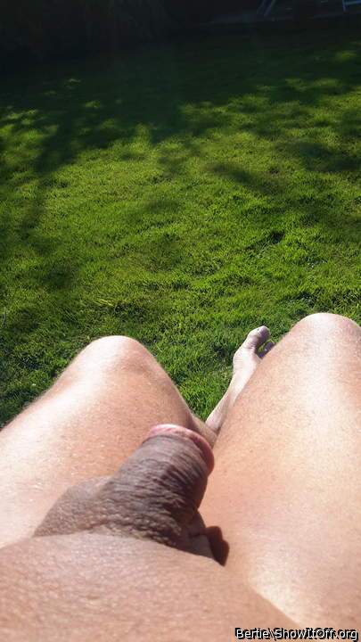 Adult image from Bertie