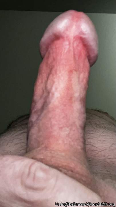 Adult image from LivingTheDream