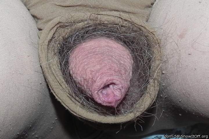 Adult image from dom-58
