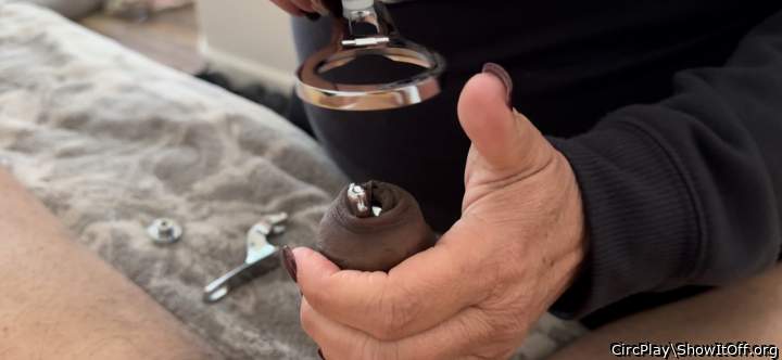Adult image from CircPlay