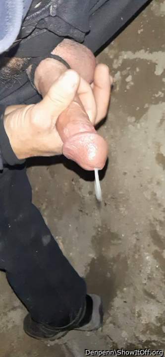 Adult image from Denpenn