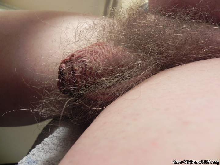 Adult image from dom-58
