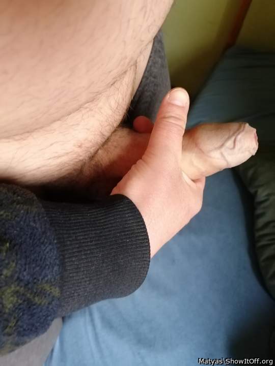 Adult image from Matyas