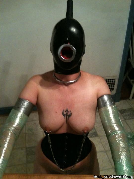 Adult image from BULL_SS