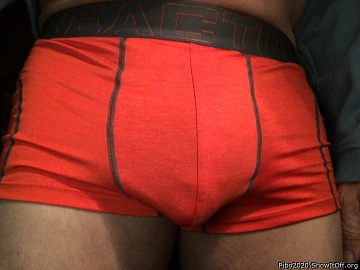 Adult image from Pibo2020