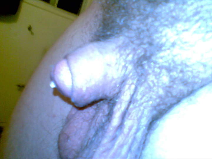 Adult image from 450